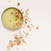 Hemorrhoid Healer Salve